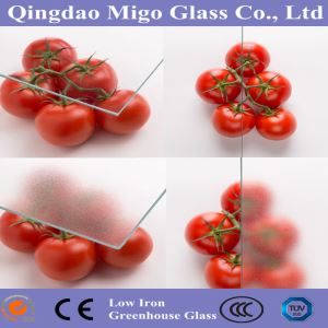 온실용 확산유리