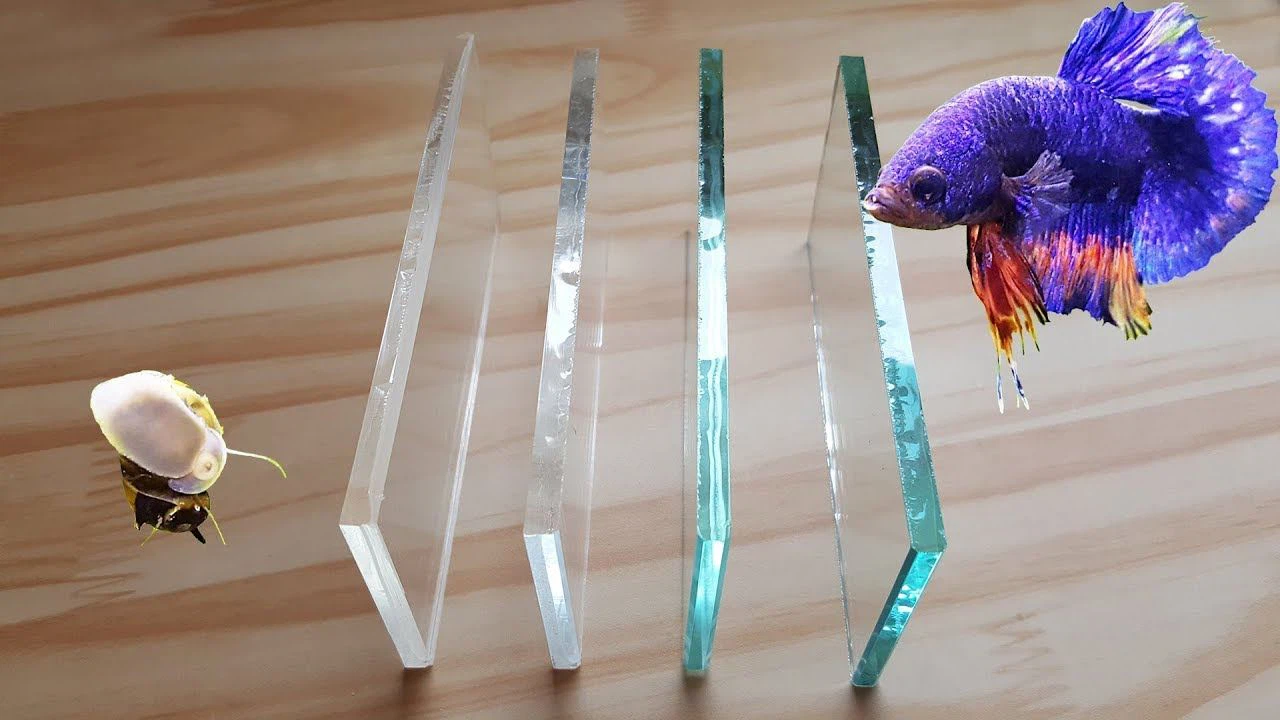 GLASS vs. ACRYLIC