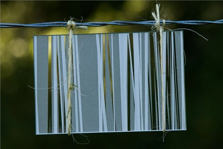 Printing Decorative Glass